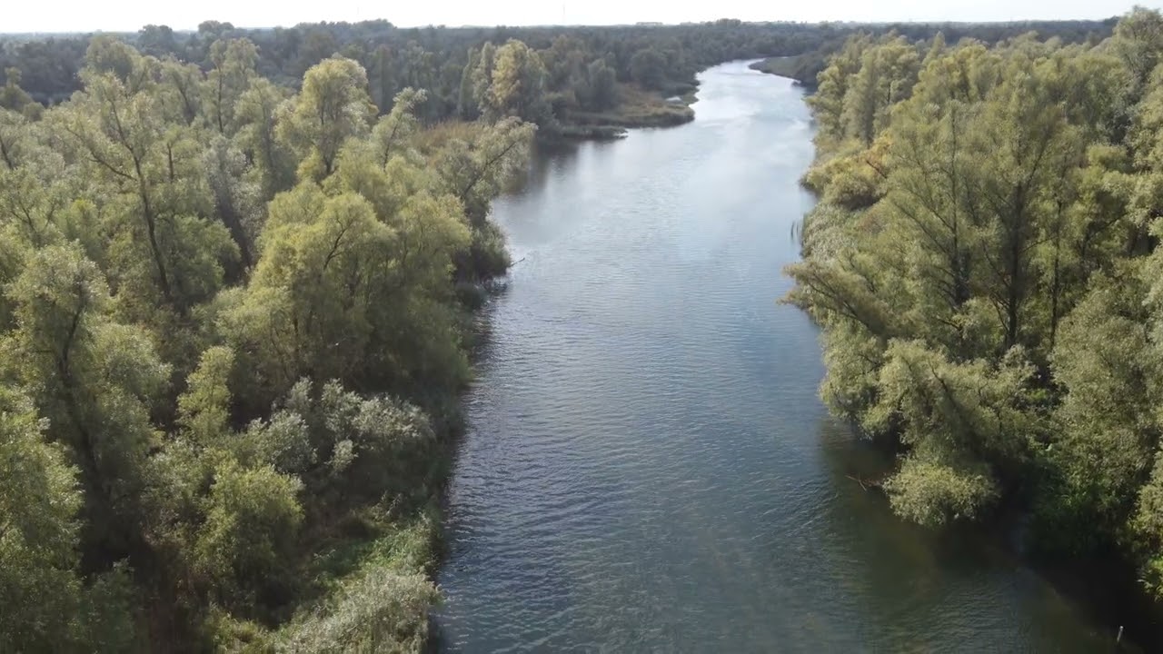 Nature of the Netherlands - National Park de Biesbosch - 4K DJI Mini 2 - Drone Video