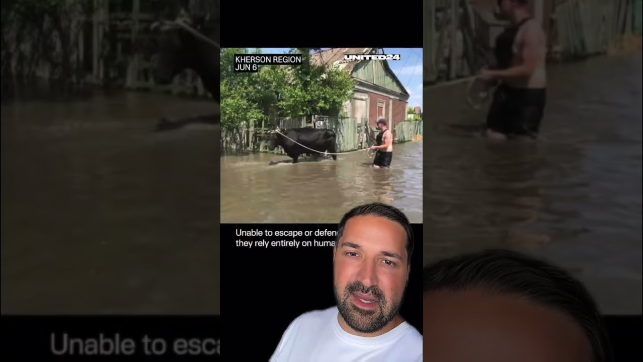 EL e VINOVAT pentru moartea animalelor în 