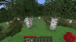 nuevo server nuevas ideas en minecraft