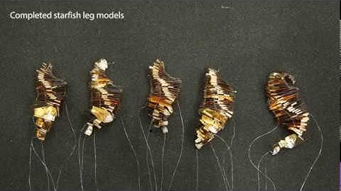 Self-folded Soft Robotic Structures With Controllable Joints