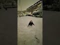 enjoy #winter#snow😍🤩