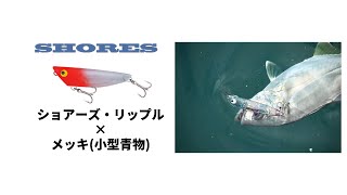 ショアーズリップルはメッキや小型青物のサーチルアーに最適!How To &実釣動画