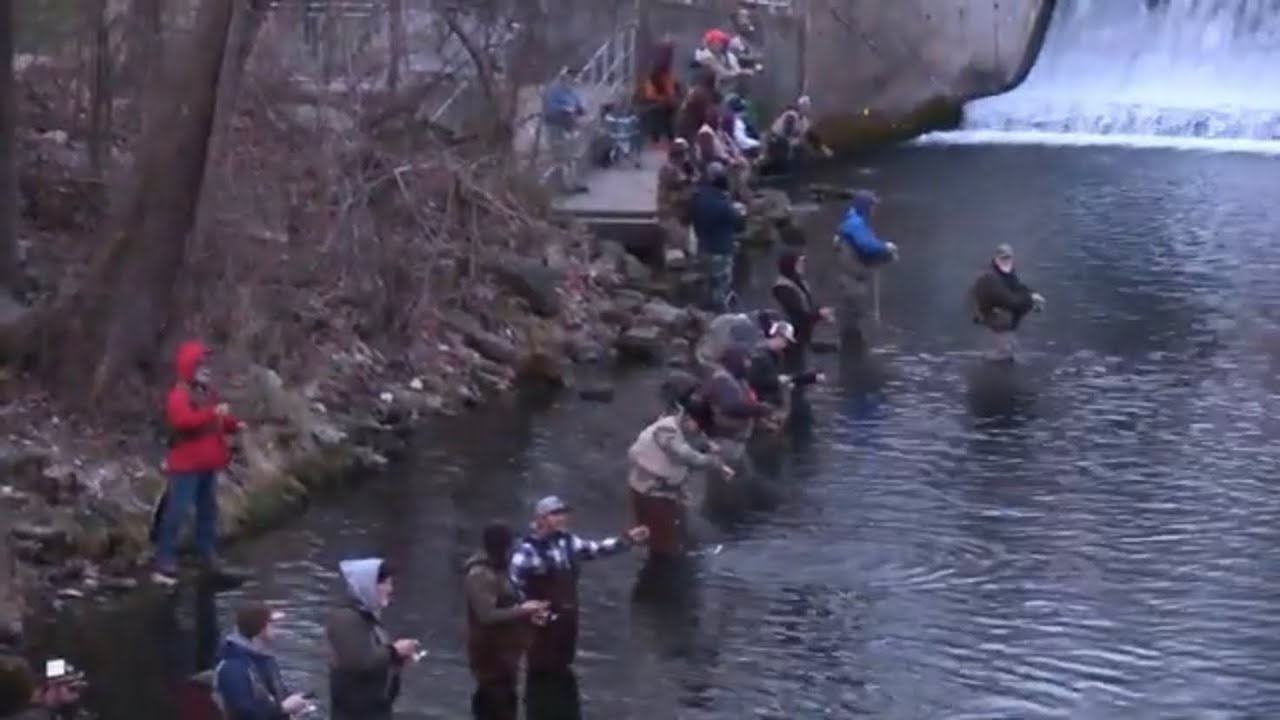 Opening Day of Trout Season - Bennett Spring Missouri State Park
