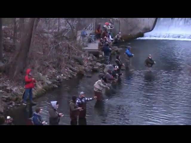 Opening Day of Trout Season - Bennett Spring Missouri State Park - YouTube