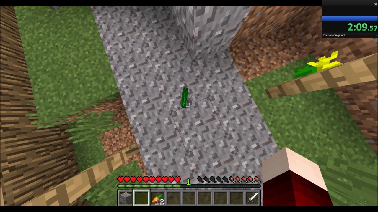 MINECRAFT SPEEDRUN: ALL WOOLS RANDOM SEED 5:28.01 [WR] - YouTube