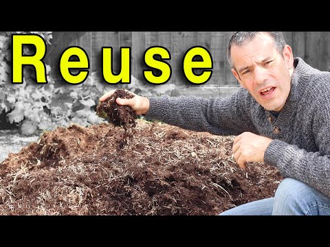 Video: Kan kompost bli gammal – Lär dig om revitaliserande komposthögar