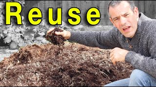 The Best Techniques for Reusing Old Compost in Your Vegetable Garden