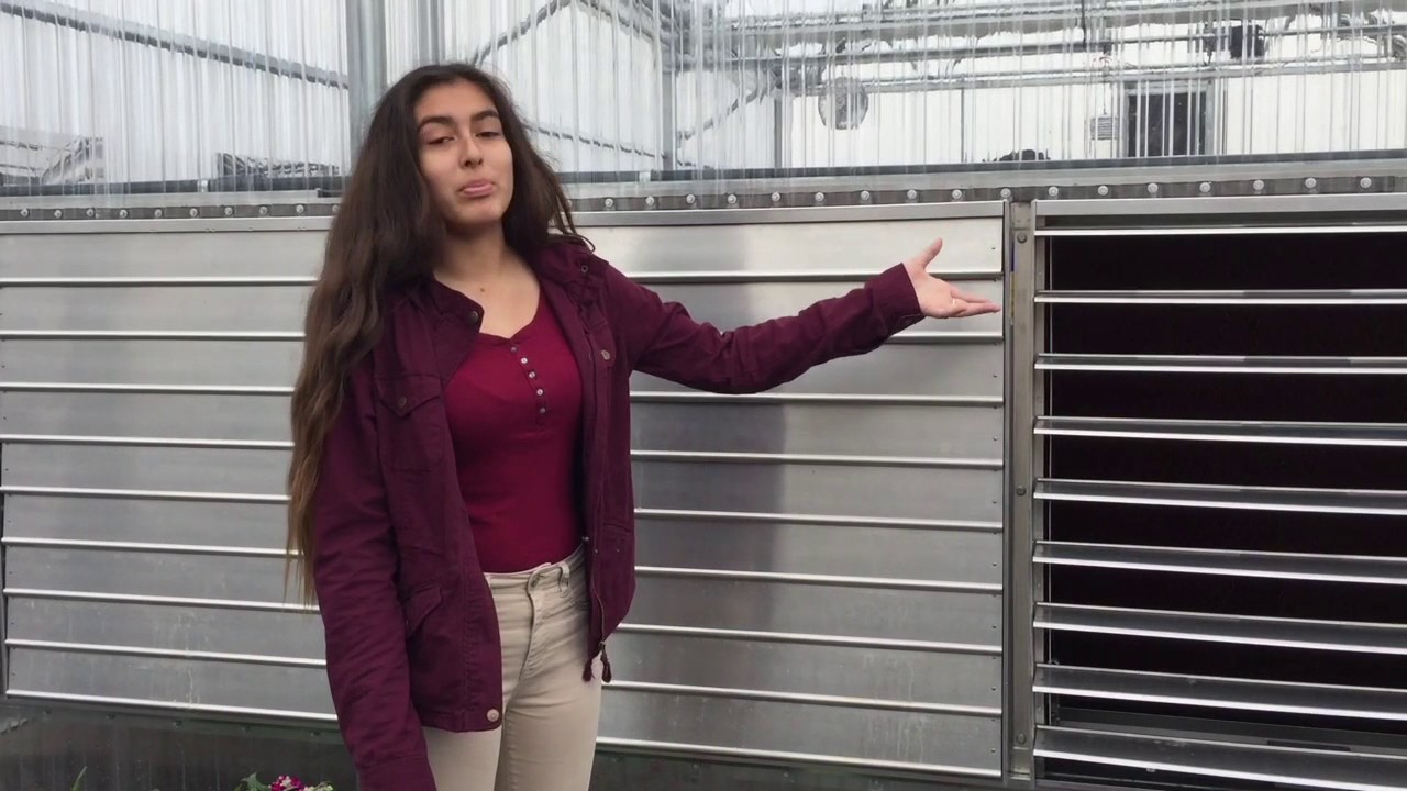 Feaster Charter Middle School Hydroponic Greenhouse YouTube