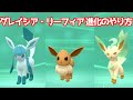 ダイパリメイク イーブイの入手法 グレイシア リーフィア 進化方法 攻略 ブリリアントダイヤモンド シャイニングパール ポケモンBDSP ダイパリメイク イーブイの入手法 グレイシア リーフィア 進化方法 攻略 ブリリアントダイヤモンド シャイニングパール ポケモンBDSP