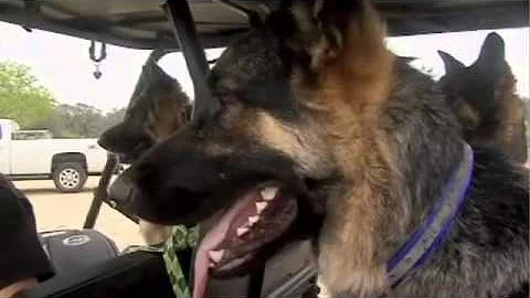 Ranchers Concerned Over Federal Budget Cuts - 2