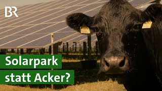 Energiewende: Wenn aus Ackerland ein Solarpark wird | Landwirtschaft | Unser Land | BR