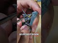 Mi primera miniatura pintada del kit de iniciación "the army painters" #3dprinting #painting