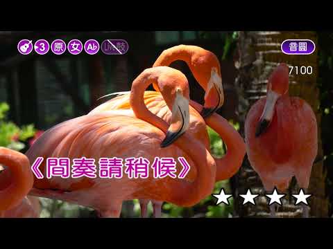 海海人生~陳盈潔~女原Ab調~伴奏~導唱丙