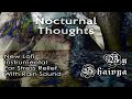 Nocturnal thoughts  new lofi chill trap hip hop beat  new music  shaivya  moinak dutta