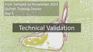 Technical Validation