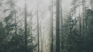 Danbi - Snowy Flower Soft Piano Instrumental