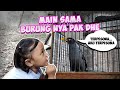 BURUNG NYA BISA NGOMONG!!?? 😱 | WINA MAEN SAMA BURUNG JALAK KEBO UNIK