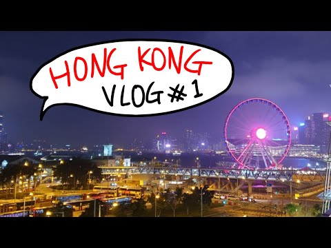 홍콩여행 VLOG #1|트레블로지헐리우드로드,딤섬스퀘어,홍콩애플,차롱,소호,에그타르트,정두,IFC몰|HongKong travel