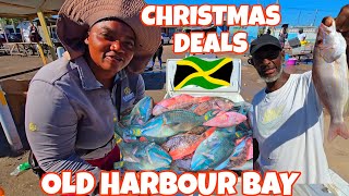 Celebrity LARGEST FISH MARKET IN JAMAICA‼️CHRISTMAS PRICES‼️ Profile