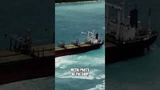 They Just Revealed What Happens To People On This Forbidden Island