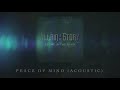 Villain of the Story - Peace of Mind (Acoustic)