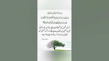 Surah An Aam Ayat 17 Quranshorttafseer 