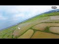 DJI Avatar | Bay như những chú cò
