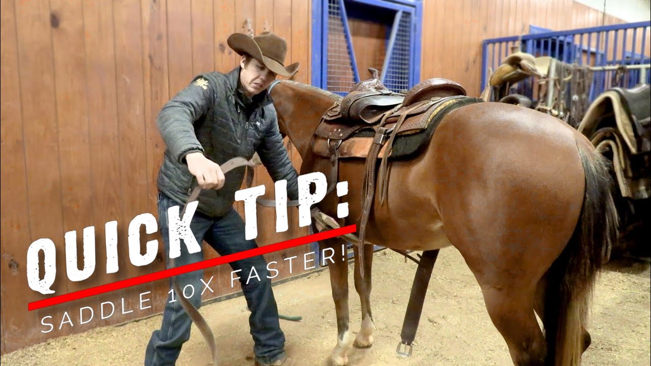 Saddle your horse 10x faster! This trick will save you time and