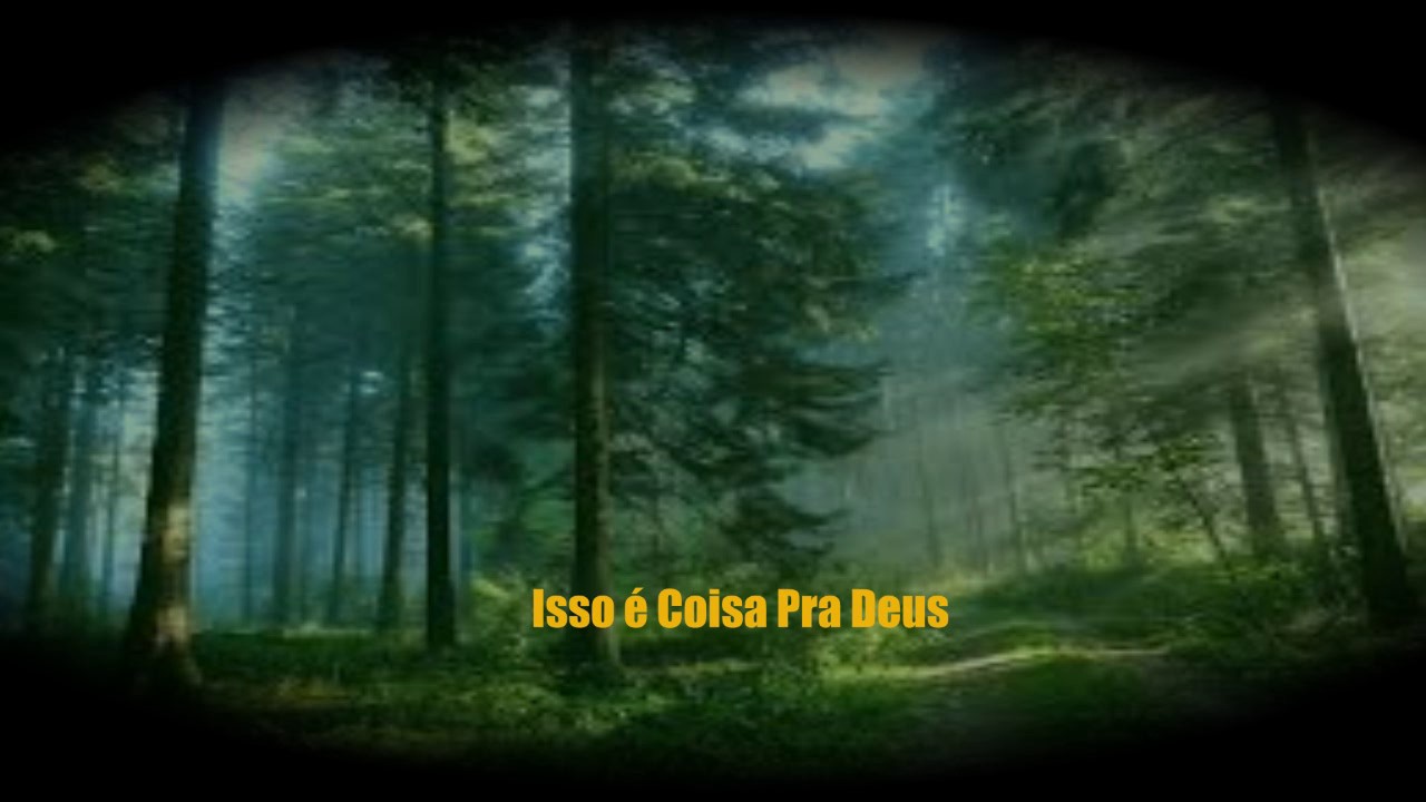 Olha Deus Resolvendo o Impossivel Net Gospel - YouTube