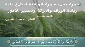 سافر معنا في رحاب القران الكريم سورة ياسين ، سورة الواقعة  تلاوة هادئة للرزق و البركة