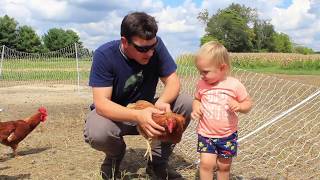 Details One Straw Farm News