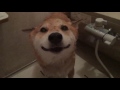 お風呂にはいるよ〜