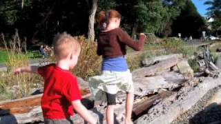 First JDRF Walk Video 