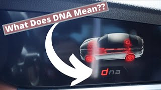 Differences Between "DNA" Driving Modes In 2017 Alfa Romeo Giulia