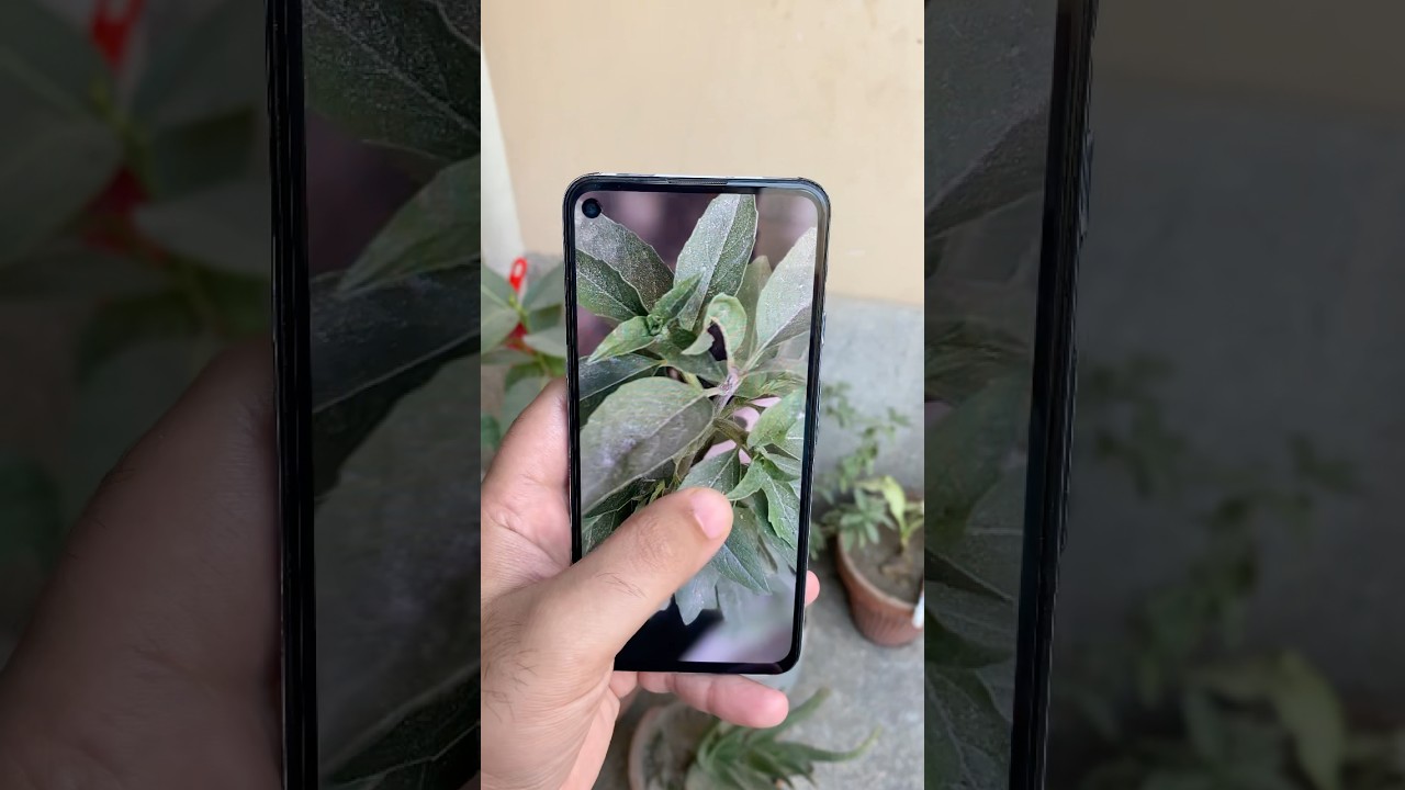 Google Pixel 4a 5G 