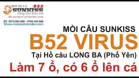 Mồi câu Trắm Đen SUNKISS B52 VIRUS tại Hồ câu Long Ba