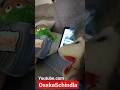 Jack's Garbage Promo Video #funny #animal #jack #monkey #puppet #garbage