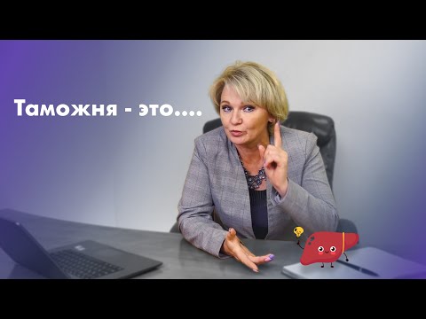 Что Такое Таможня? | На Какой Человеческий Орган Похожа Таможня?! | Отвечает Таможенный Брокер