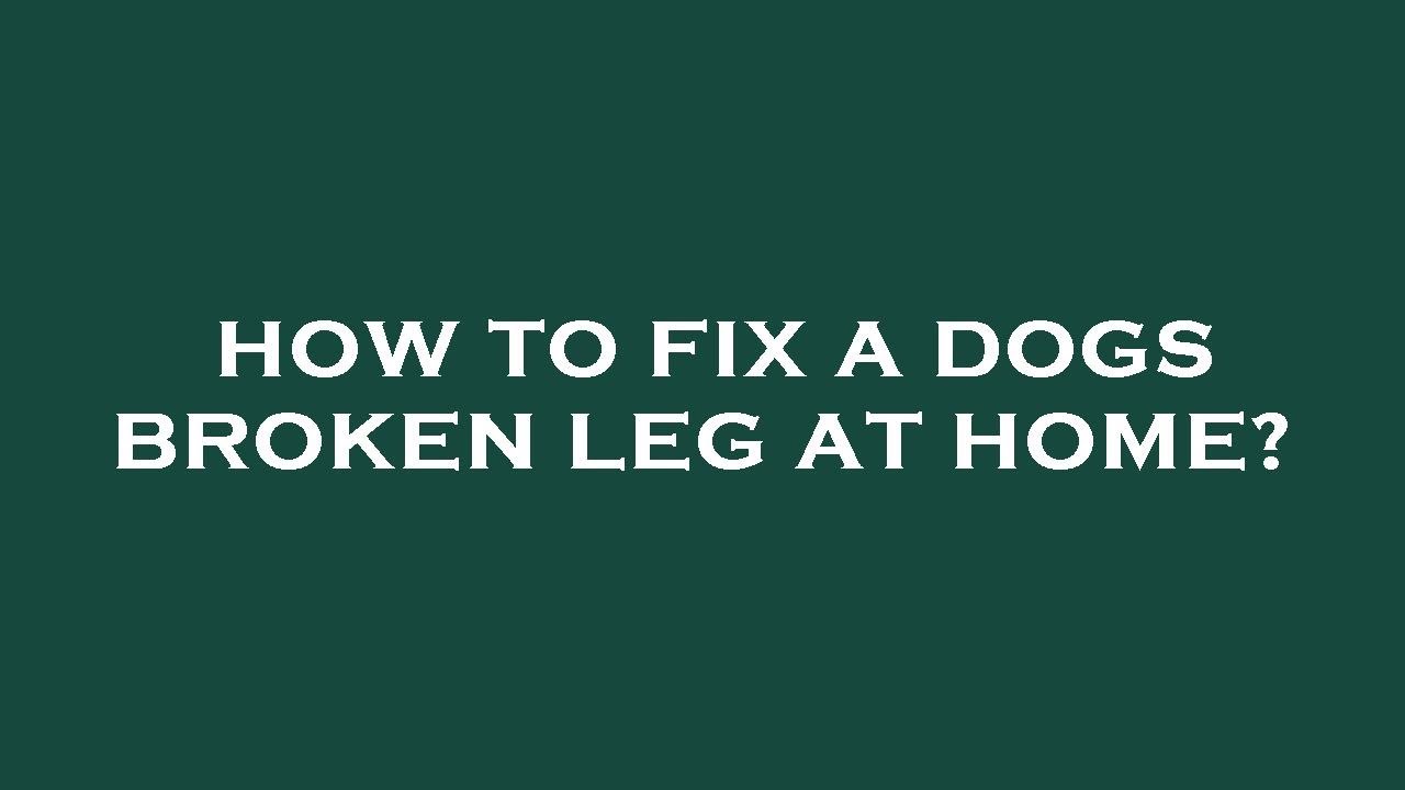 How To Fix A Dogs Broken Leg At Home YouTube How To Fix A Dogs Broken Leg At Home YouTube