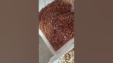 The color sorter selects defective and spoiled products from peanuts #machine #ricecolorsortermachin