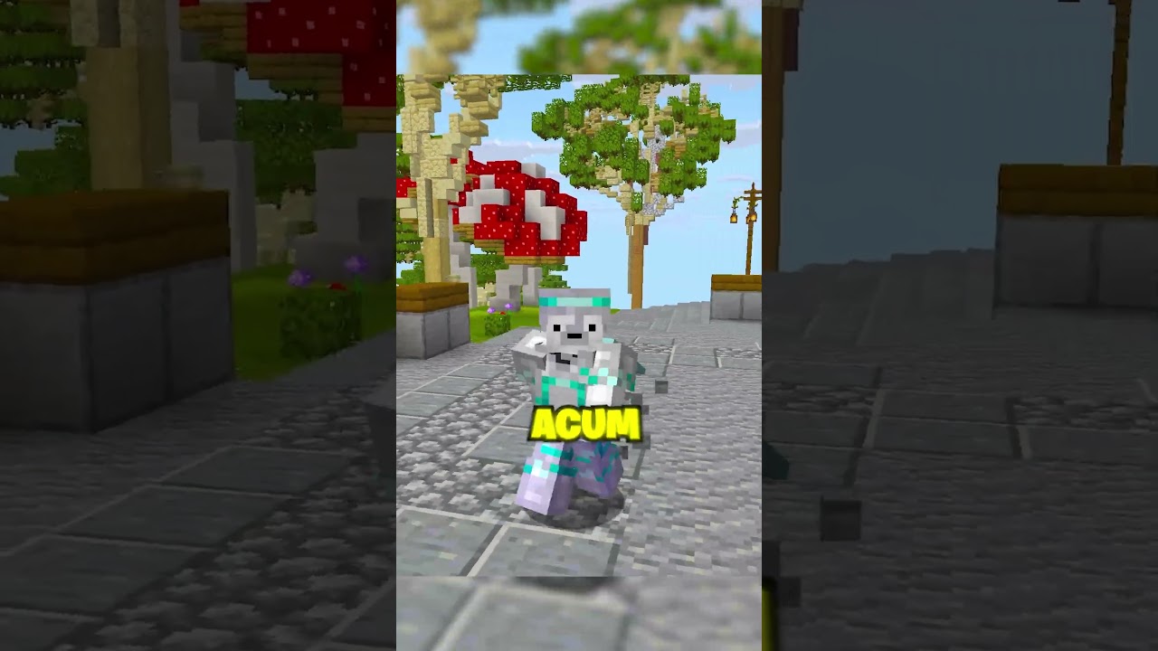 Oare se merita vizita in Coreea de Nord? #minecraft #romania #ratonii