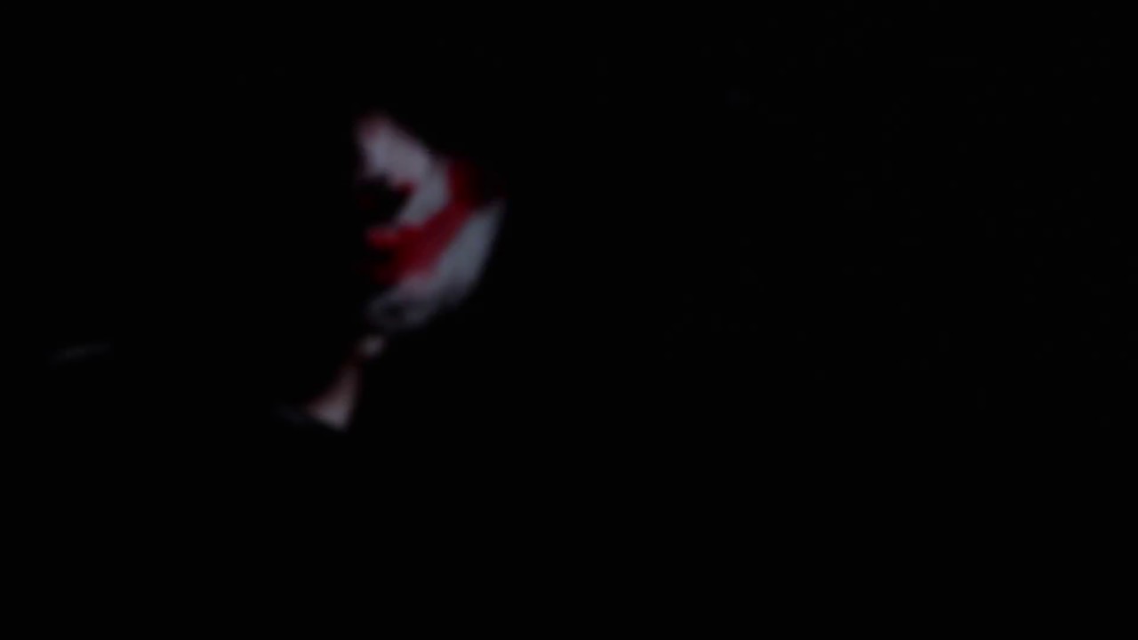 Magnum Publicité - Mr Abelho Freak Show Maximo