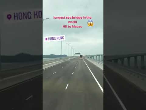 Tourist in HK must see this!