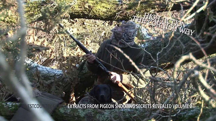 Pigeon Shooting Secrets Revealed Volume 2