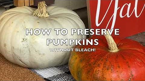 Pumpkin Bath -- How to Preserve Decorative Pumpkins with Vinegar