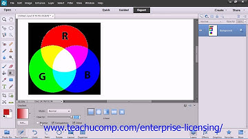 Adobe Photoshop Elements 12 Tutorial Filling and Stroking Employee Group Training  9.3