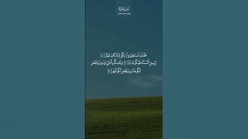 ﴿ فقلت استغفروا ربكم إنه كان غفارا ﴾ تلاوة رائعة للشيخ #عبدالله_الموسى من #سورة_نوح