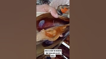 REMOVING THE SCALLOPS IN IT