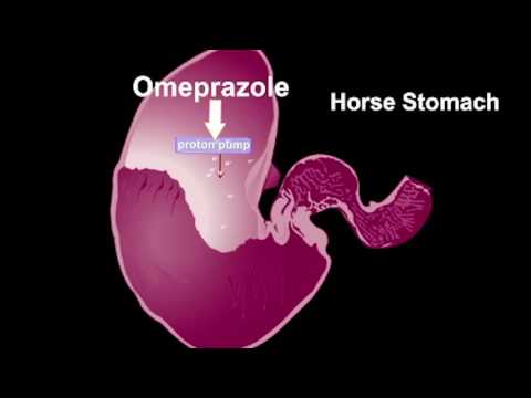 Video: Omeprazole-OBL - Kapselien Käyttöohjeet, Hinta, Arvostelut, Analogit