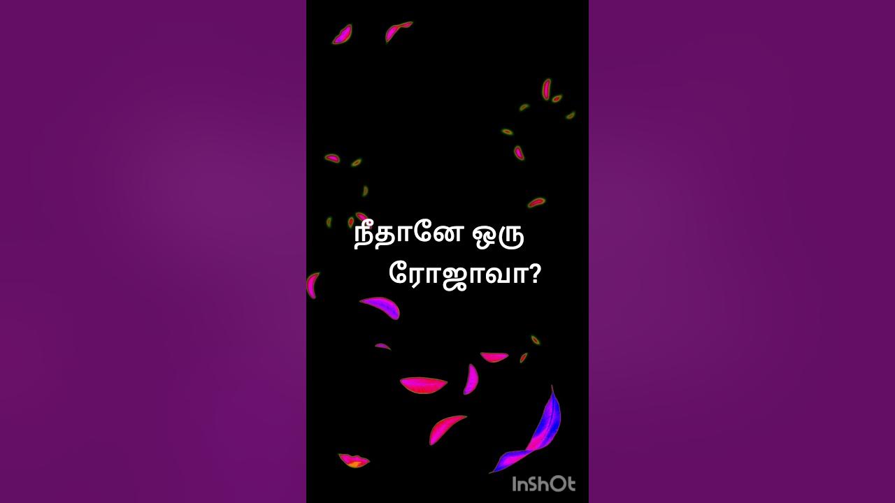 New tamil song tamil album song kamaraj viral shorts trend shorts